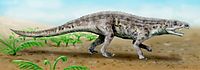 http://upload.wikimedia.org/wikipedia/commons/thumb/e/e5/venaticosuchus_bw.jpg/200px-venaticosuchus_bw.jpg