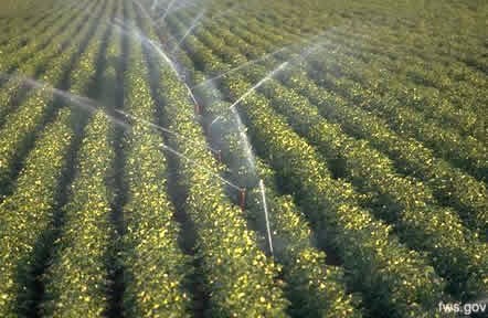 http://agricultureguide.org/wp-content/uploads/2009/03/irrigation.jpg
