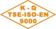 tse_iso_logo